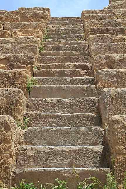 Aurès - Timgad - Escalier et gradins du Théâtre