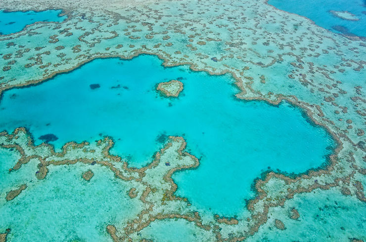 Grande Barrière de corail - Australie