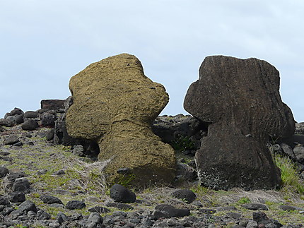 Moai renversés