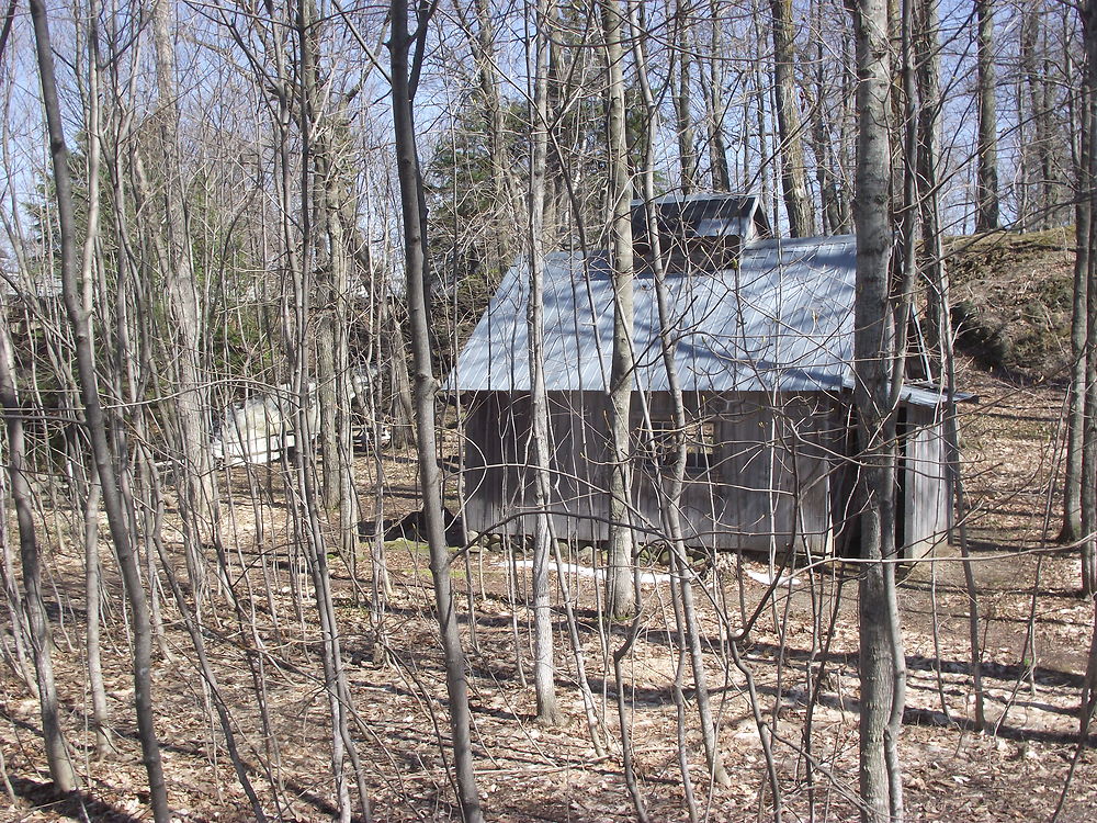 Cabane à sucre à St-Roch-des-Aulnaies