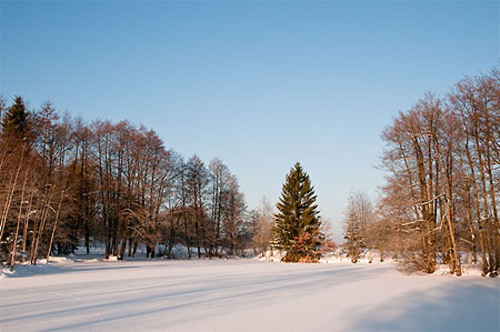 Les mille étangs sous la neige