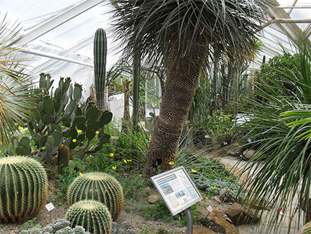 Serre tropicale