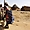 Pilage du mil, dans le Sahel