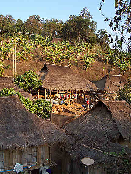 Habitation dans un village Akha