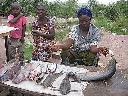 Vendeuse de poisson, le long du fleuve