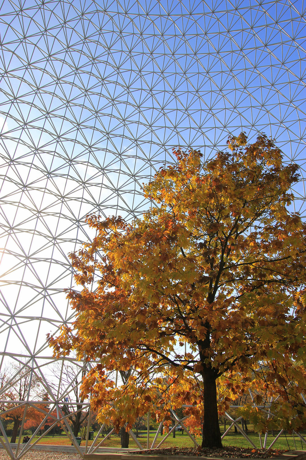 Biosphère de Montréal