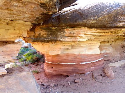 Canyonlands National Park - Paysages