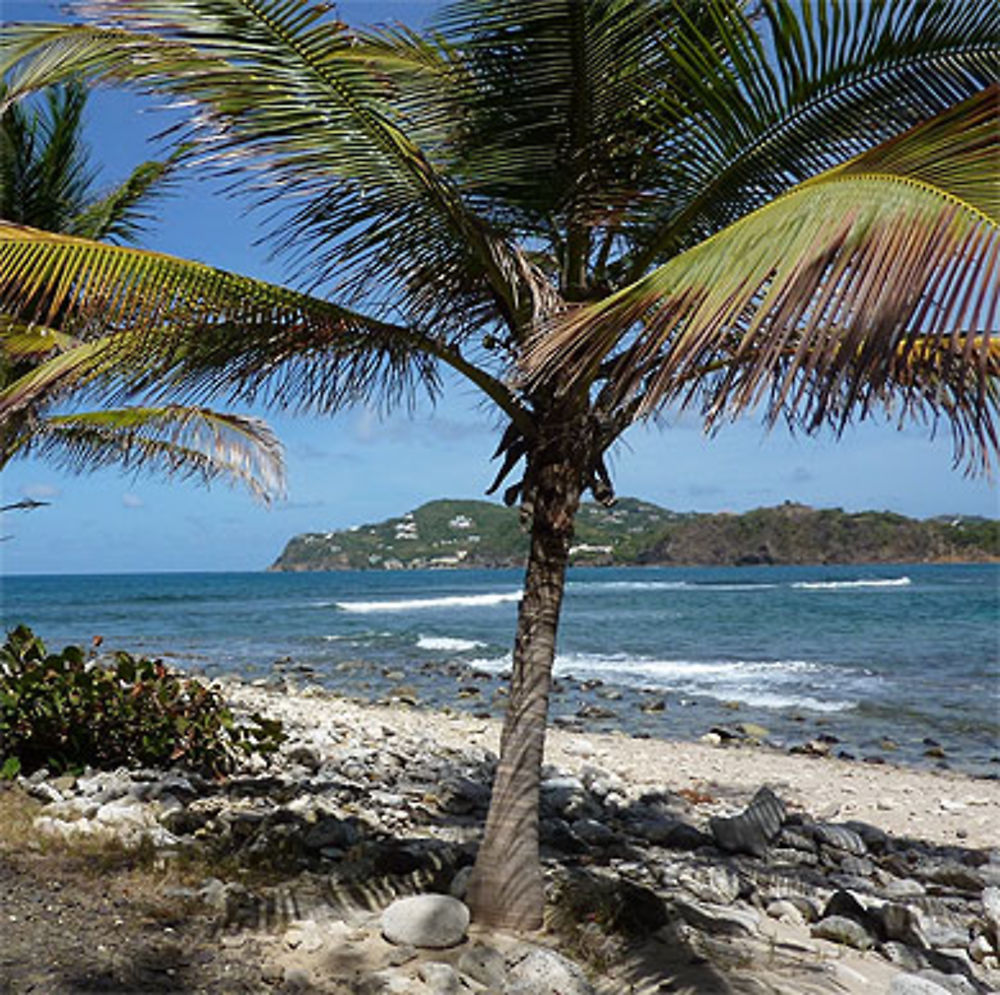 Pigeon Island National Park