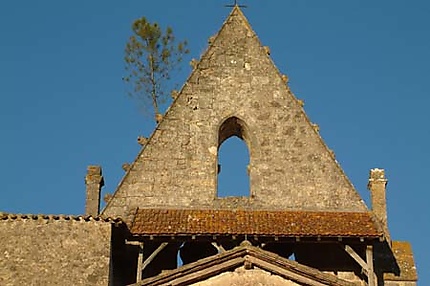 Eglise de Pompogne et son pin