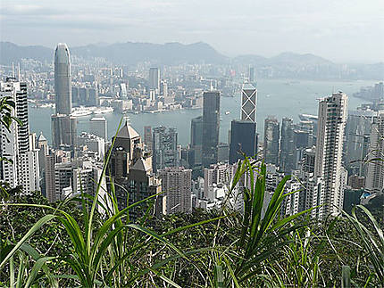 A Hong Kong
