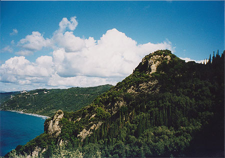 Cyprès Cyprès