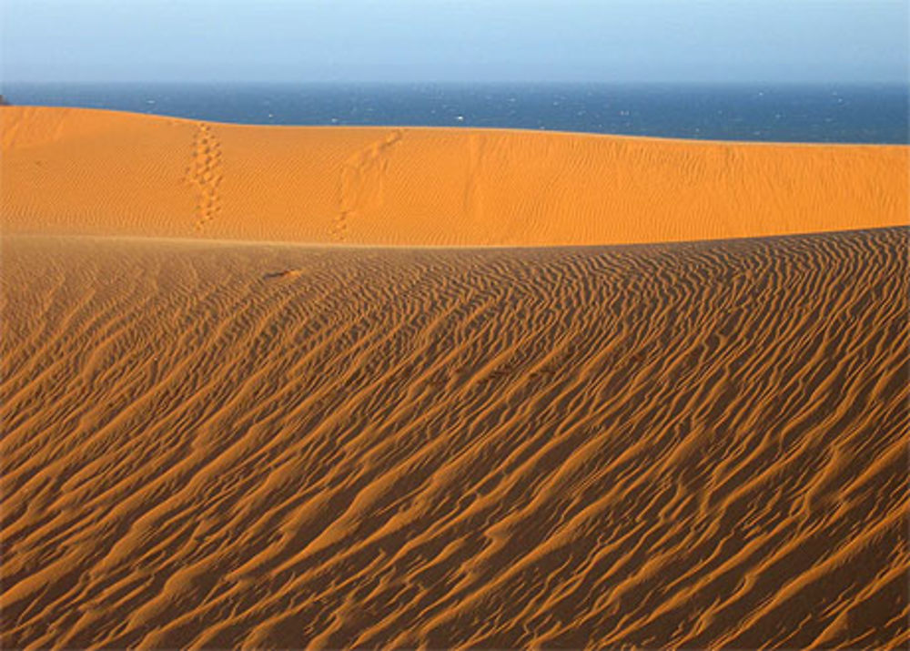 Dunes de Mui Ne