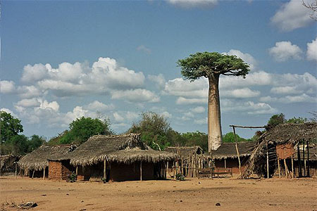 Village du Menabe Village du Menabe