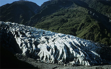 Fox glacier Fox glacier