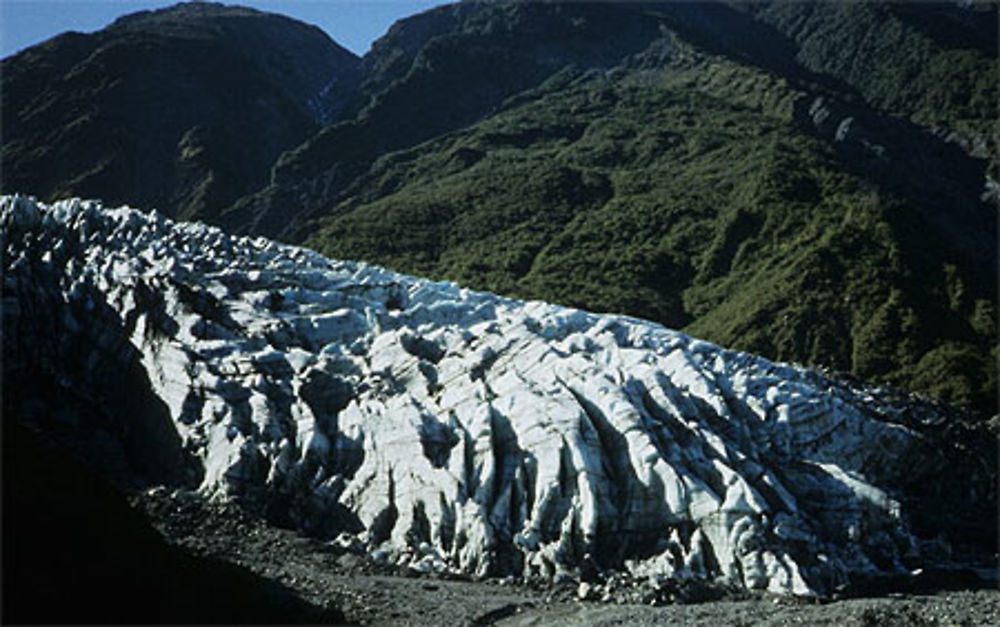 Fox glacier