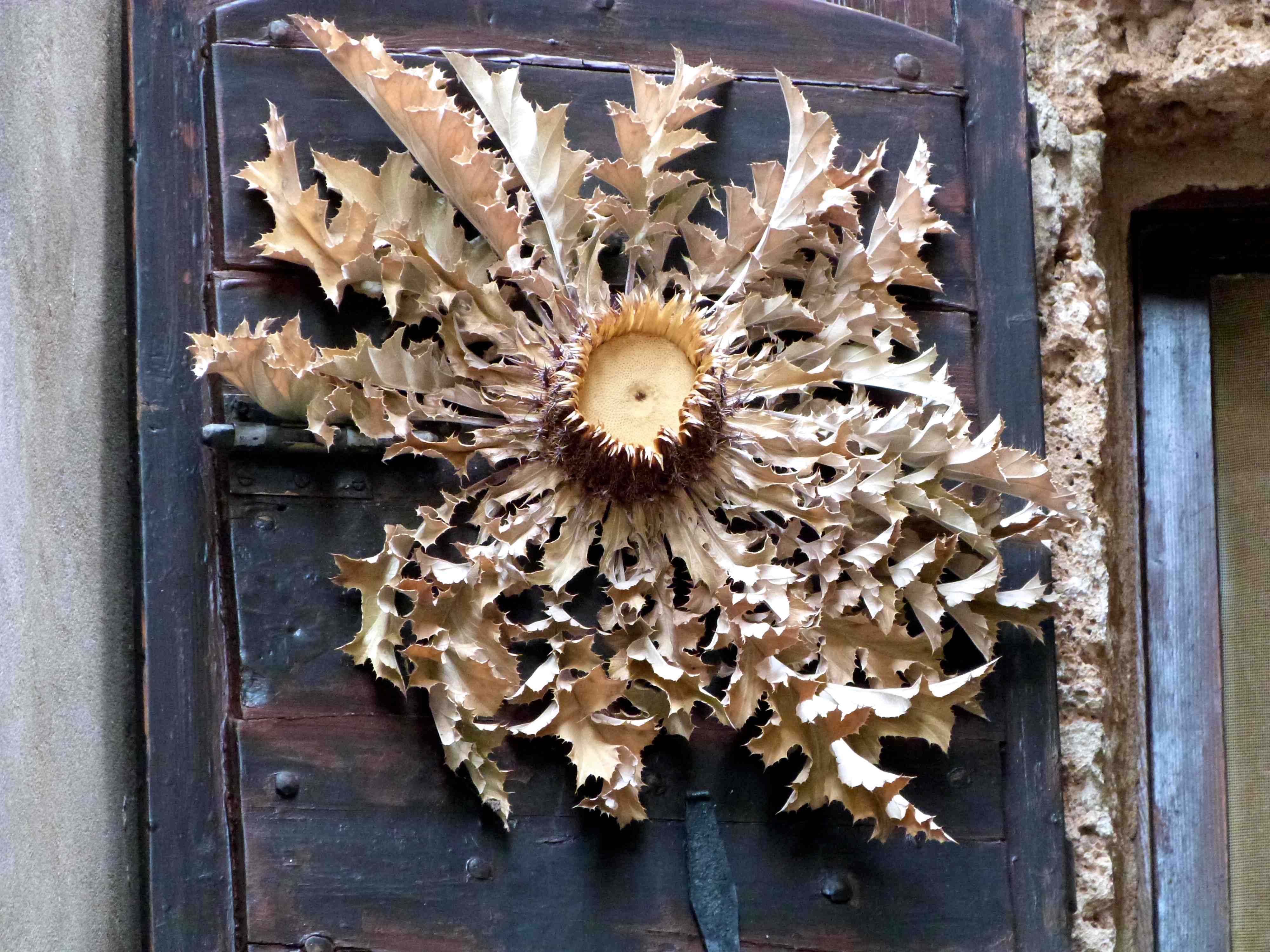 Chardon sur une porte d'entrée Chardon sur une porte d'entrée
