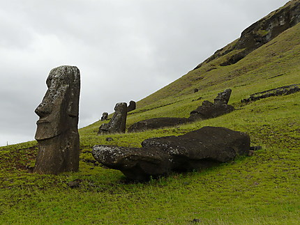 Carrière des moai