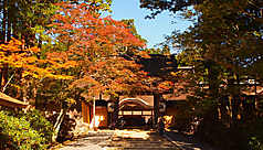 P&eacute;ninsule de Kii : balade entre nature, traditions et spiritualit&eacute;, sur les chemins de p&egrave;lerinage du Japon ancestral
