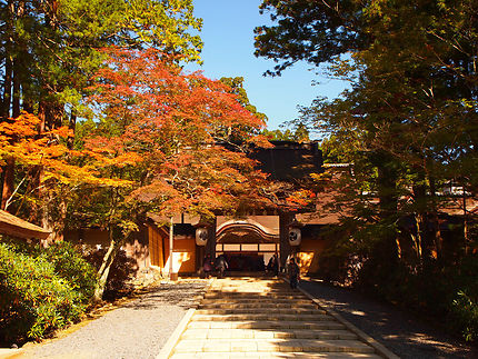 Péninsule de Kii : balade entre nature, traditions et spiritualité, sur les chemins de pèlerinage du Japon ancestral