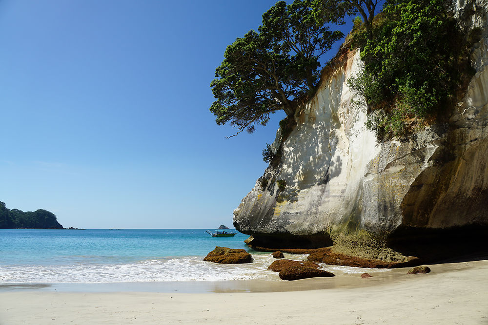 Cathedral cove