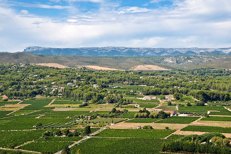 Le vignoble de Bandol, sous les villages perchés du Castellet et de La Cadière-d’Azur