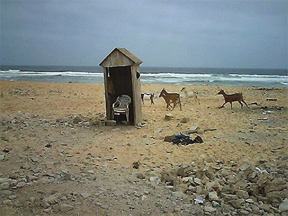 Plage de Cambéréne