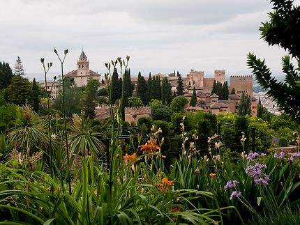 Vue sur  l'Alhambra Grenade
