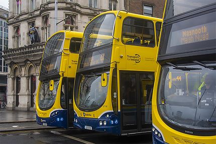 Des autobus bleus et jaunes à Dublin