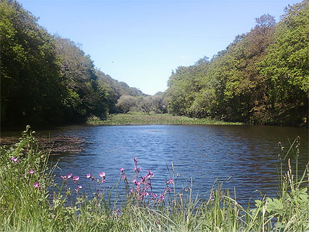 Etang du Menec Etang du Menec