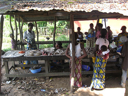 Petit marché du poisson de Ngabé