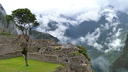 Sérénité au Machu Picchu