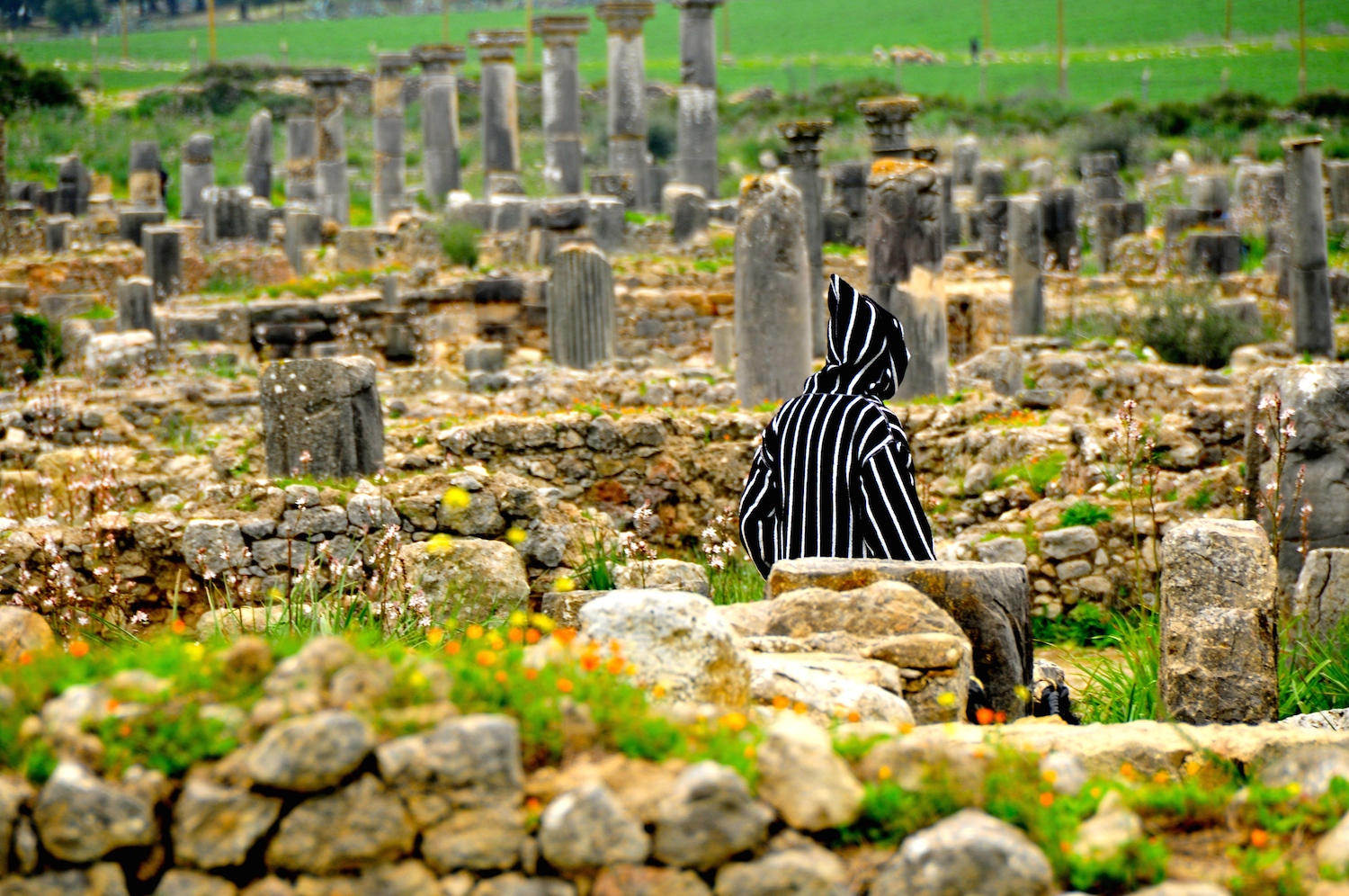 Volubilis