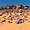 Moul N'Aga - Eboulis de pierres sur tapis de sable