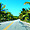 Sur les routes de l'état d'Alagoas