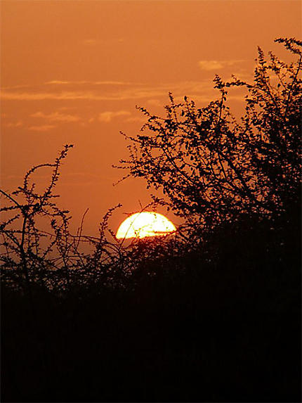 Coucher de soleil sur Amboseli
