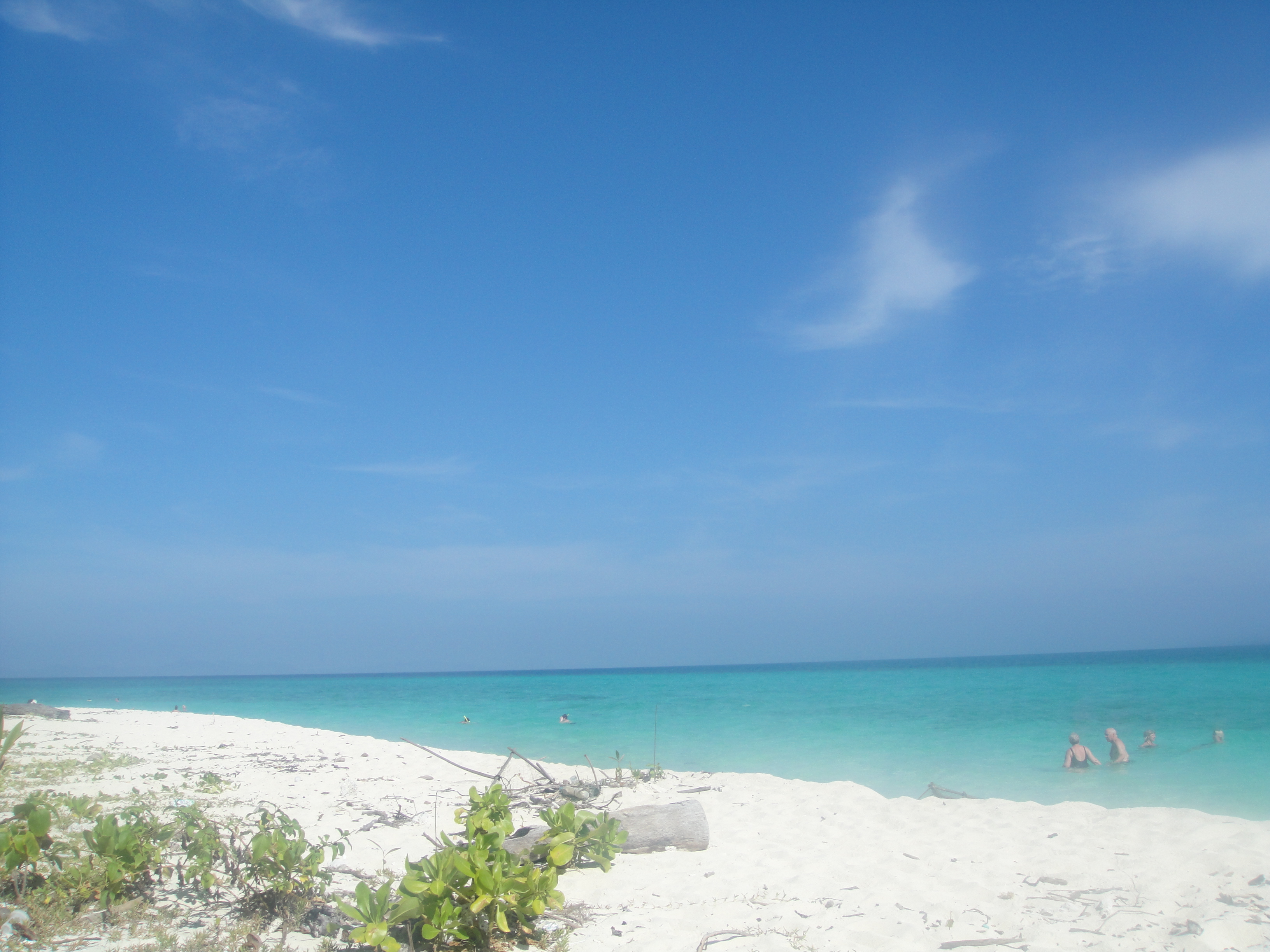 Bamboo Island Bamboo Island