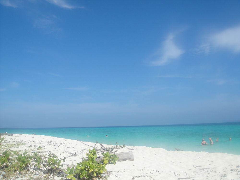 Bamboo Island