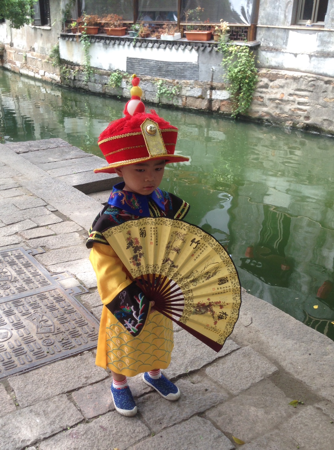 Le petit mandarin de LUZHI Le petit mandarin de LUZHI