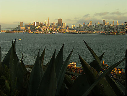 Coucher de soleil sur San Francisco