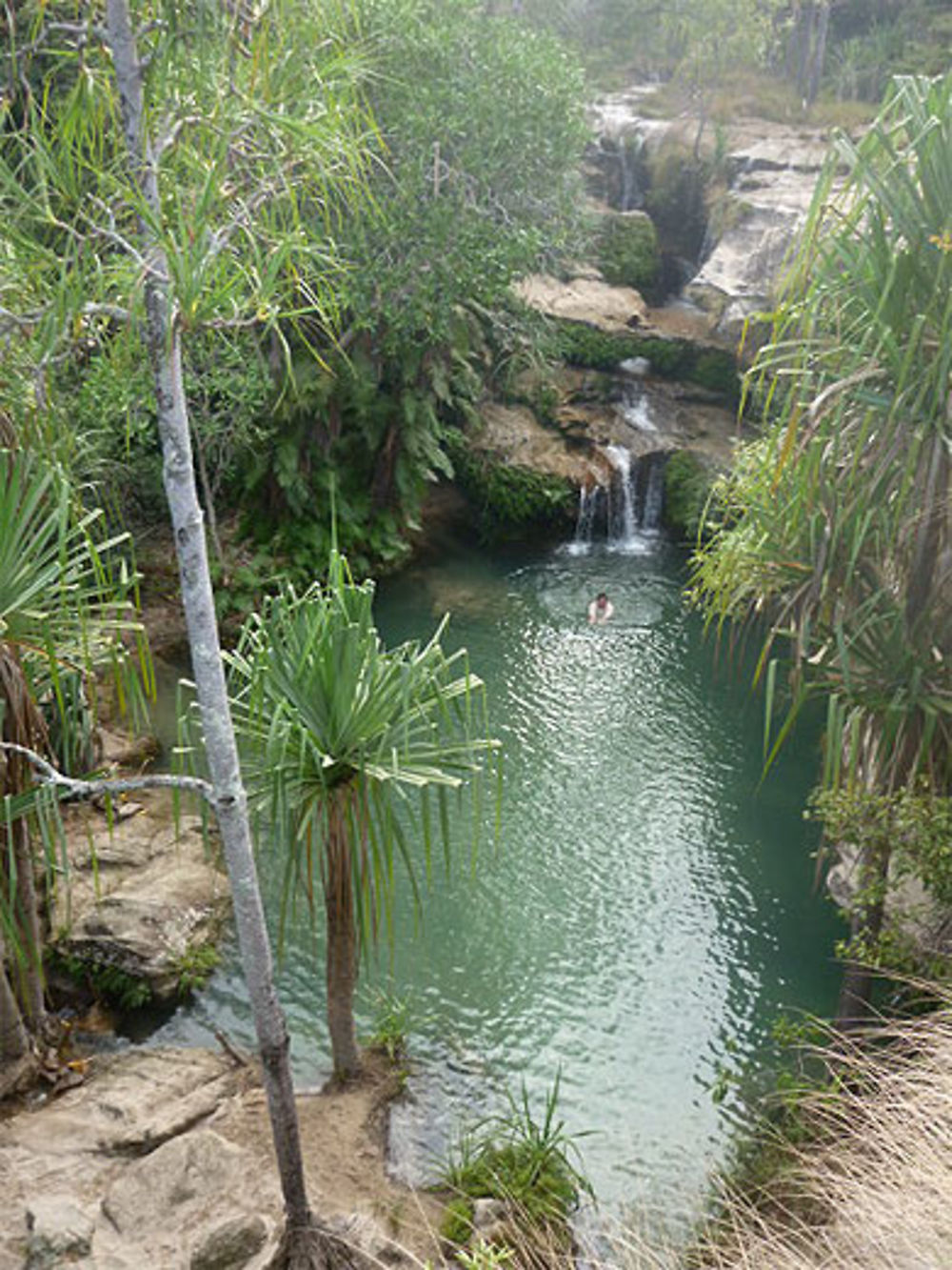 Piscine naturelle