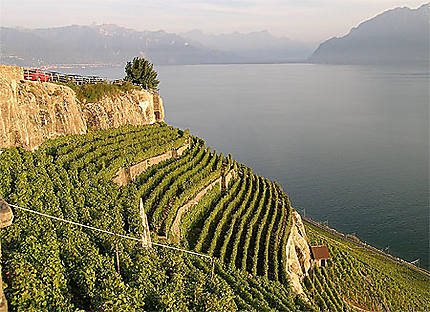 Vignobles suisses