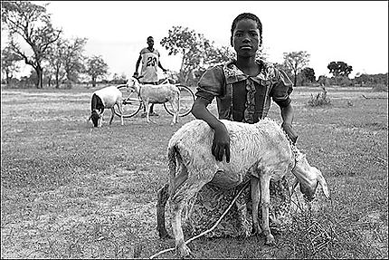 La petite fille au mouton