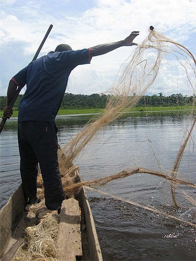 Pêche sur le fleuve congo, autour de Ngabé
