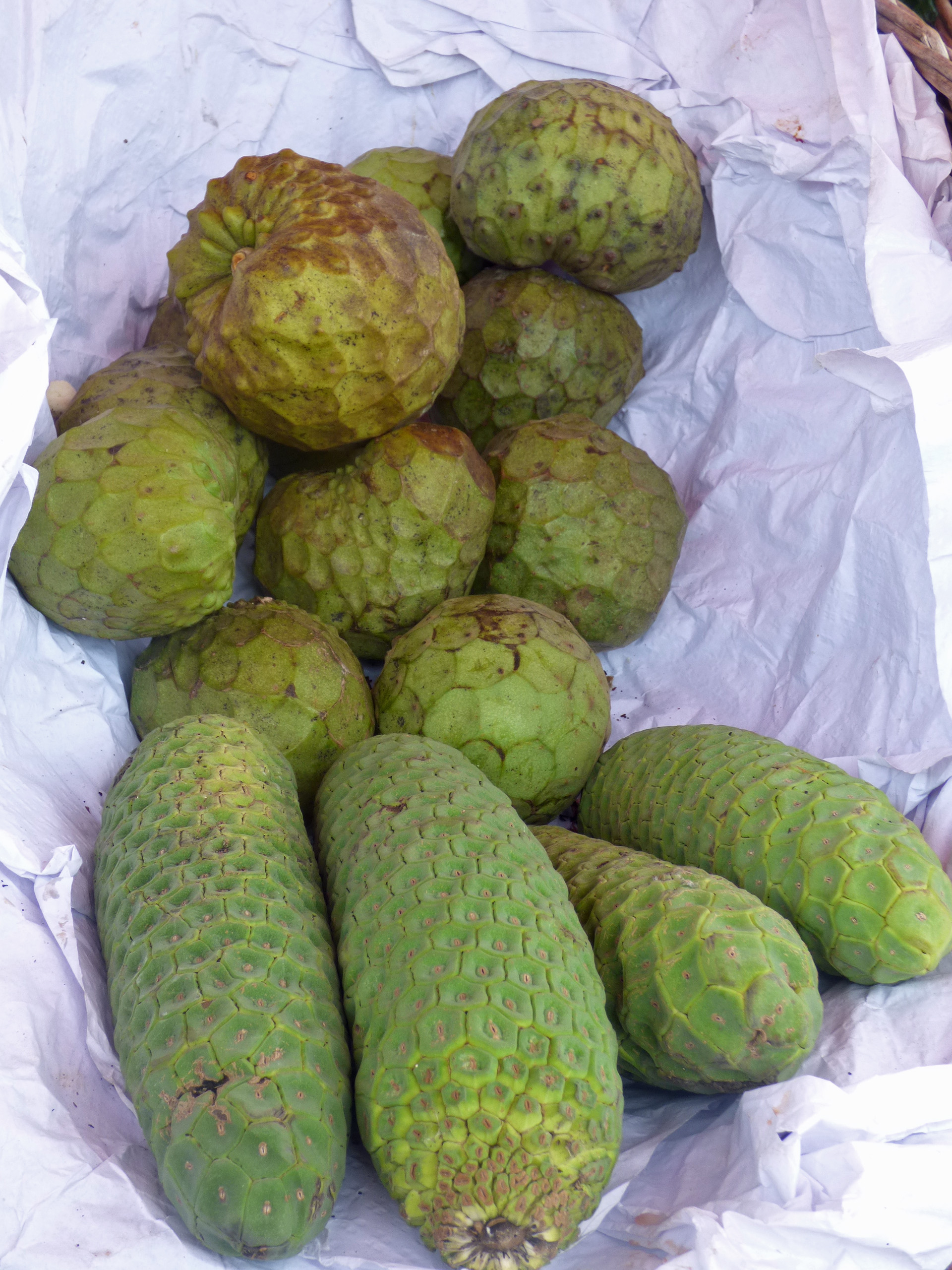 Fruit exotique de Madère (Annonne) Fruit exotique de Madère (Annonne)