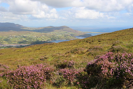 Paysage du Donegal