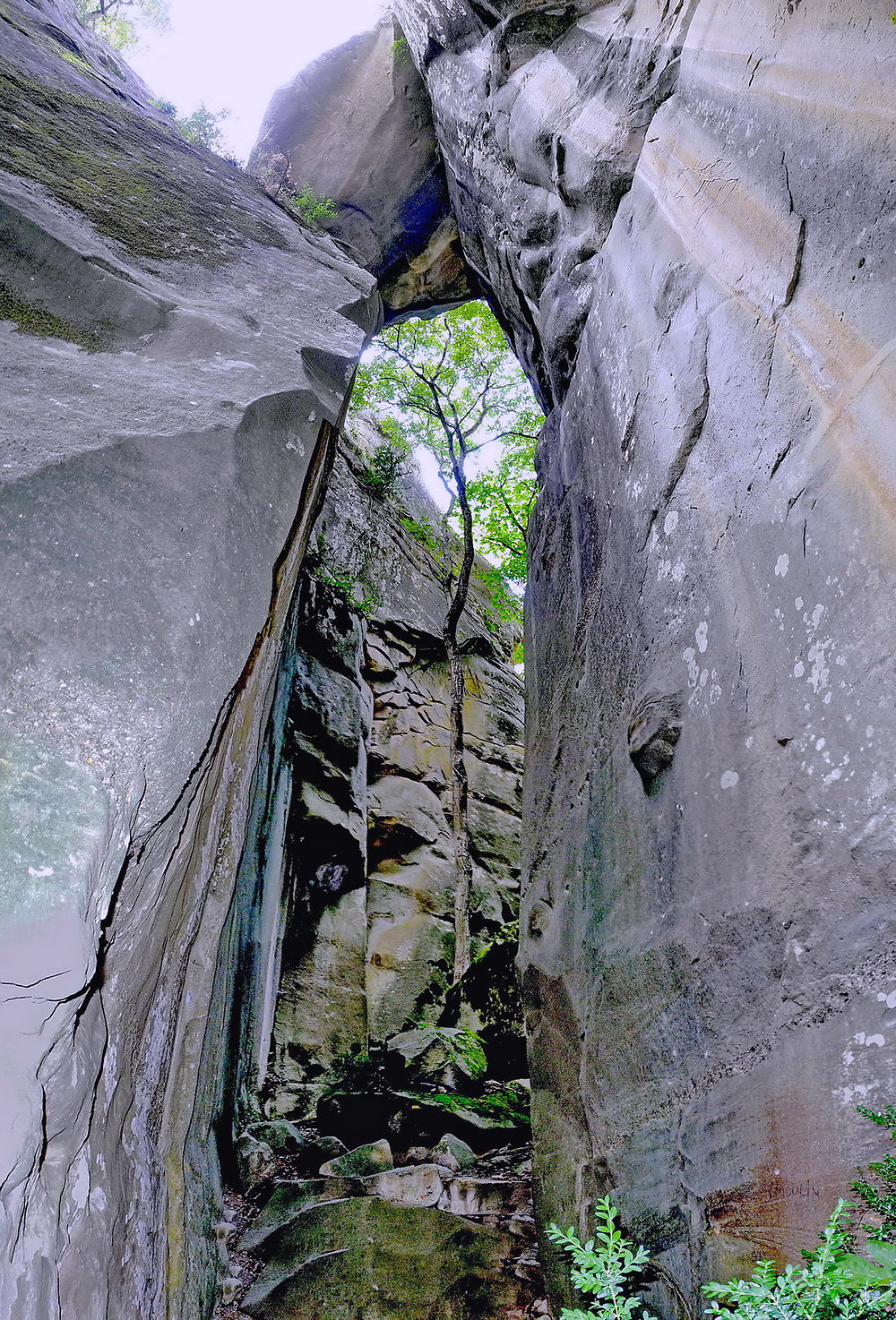 Les grès d'Annot