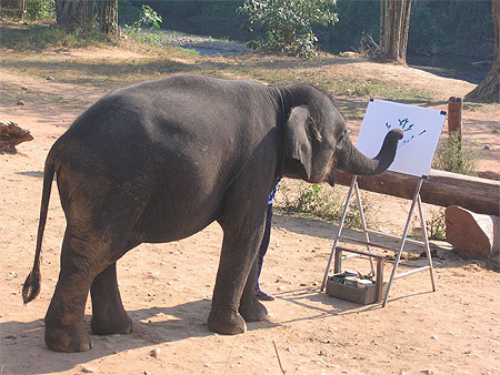 Ferme des éléphants Ferme des éléphants
