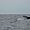 Baleines à bosses à Menai Bay