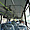 Autobus à Chennai