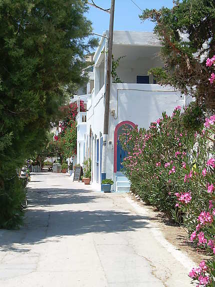 Ruelle fleurie, Amorgos